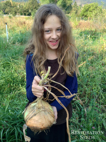 Ailsa Craig onion image####