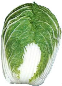 Kyoto No. 3 chinese cabbage image####