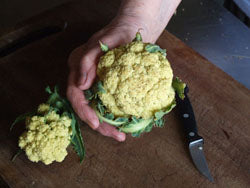 Nine Star Perennial Broccoli