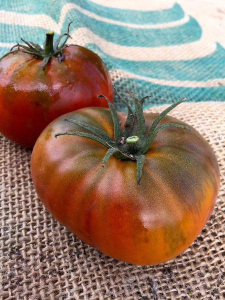 Paul Robeson tomato image####